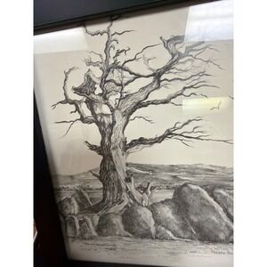 Mary A Lansdowne The Witch Tree Pebble Beach CA Framed Pencil‎ Sketch Drawing